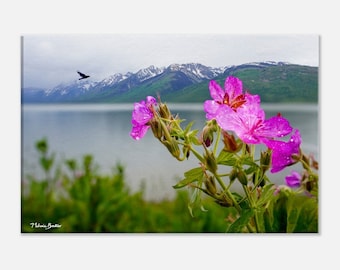 Beautiful Cosmic Wild Flowers overlooking Jackson Lake in Teton National Park | 12 x 18 Framed Canvas Print