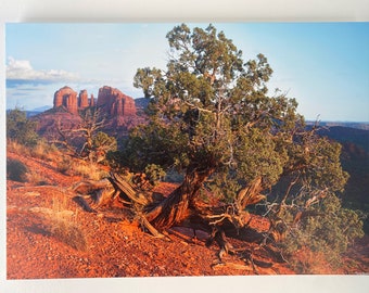 Cathedral Rock Sedona Vortex Canvas Print, Southwest Modern Wall Art