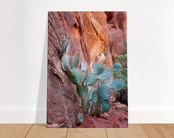 Desert Strength - Cactus Spirit in Sedona - Sedona, Arizona Landscape