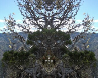 BODi Nature Spirits - Tree Spirits