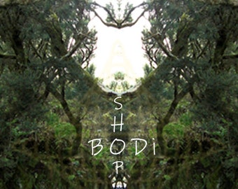 BODi Wallpaper, background image for smartphone - Nature Spirits