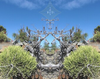 BODi Nature Spirits - Plant Spirits