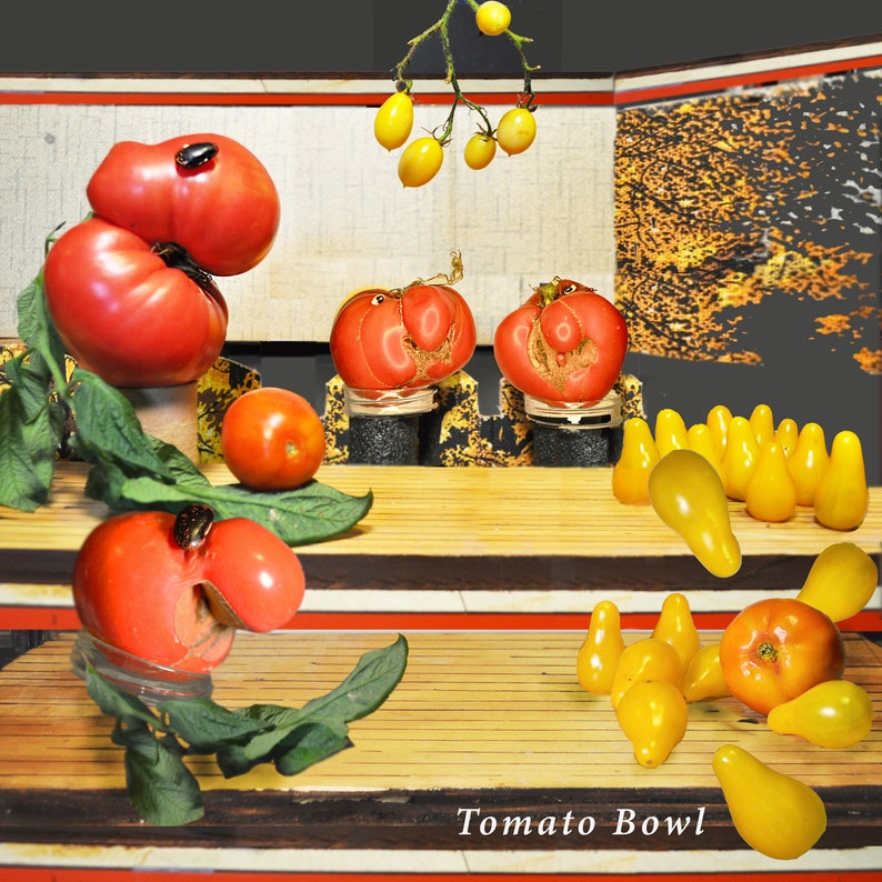 May include: A bowl of red tomatoes with yellow tomatoes hanging from a branch above. The bowl is on a wooden surface with a yellow and red striped background. The text "Tomato Bowl" is printed on the surface.