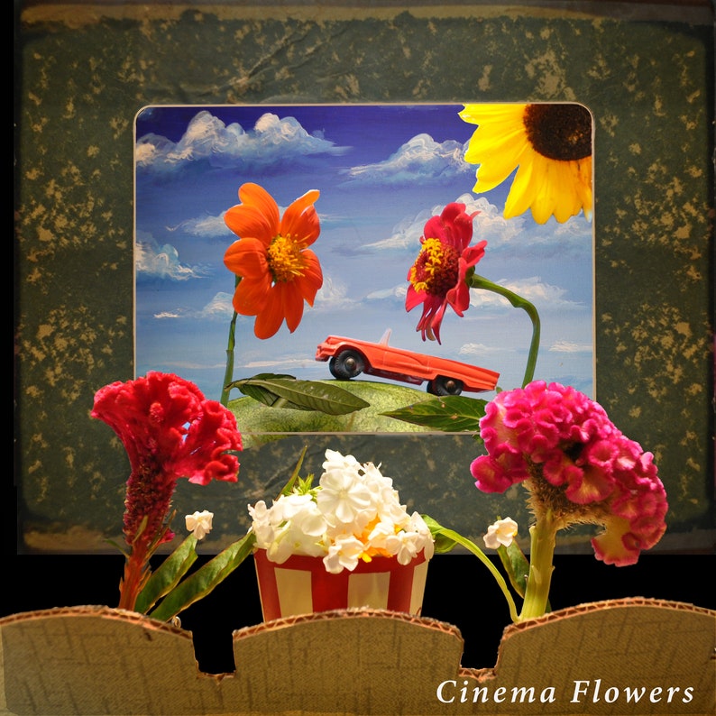 May include: A vintage-style photo frame with a red toy car driving through a field of flowers. The flowers are red, white, and yellow. The frame has a green background and a brown border. The text "Cinema Flowers" is at the bottom of the frame.