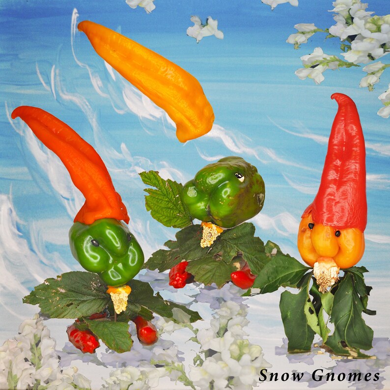 May include: Three whimsical gnomes made from peppers. A green pepper gnome with a red hat, a red pepper gnome with an orange face, and a yellow pepper gnome with a green hat. The gnomes are surrounded by white flowers and green leaves.