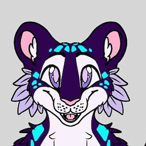 Jaquin Adopt