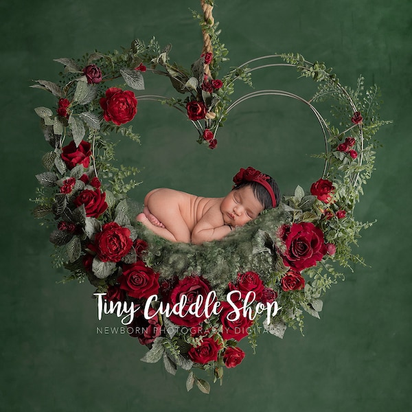 Newborn Digital Swing Background, Newborn Digital Backdrop, Newborn Photography Swing Heart, Valentines, red roses, hanging heart swing