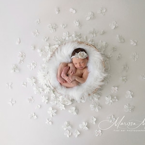 Newborn Digital Background, Newborn Digital Backdrop, Newborn Photography Prop Pastel All White Floral
