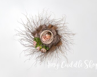 Newborn Digital Background, Newborn Digital Backdrop, Protea, Brown, Delicate, Branches, Nest