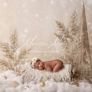 Newborn Digital Swing Background, Newborn Digital Backdrop, Christmas newborn digital snow gold bed