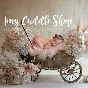Puede incluir: Un bebé recién nacido durmiendo en un cochecito de bebé de estilo vintage decorado con flores rosas y blancas. El cochecito está rodeado de flores secas y hierba de la pampa. El texto "Tiny Cuddle Shop" está escrito sobre el cochecito.