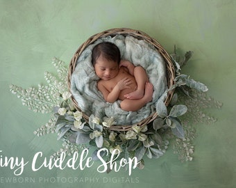 Newborn Digital Background, Newborn Digital Backdrop, Newborn Photography, Silky Sage