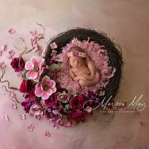 Newborn Digital Background, Newborn Digital Backdrop, Newborn Photography, Pink, Spring, Blooms, Fuchsia, Nest