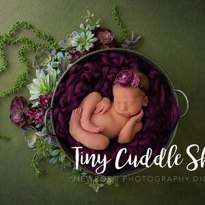 Newborn Digital Background, Newborn Digital Backdrop, Newborn Photography, Burgundy Succulents