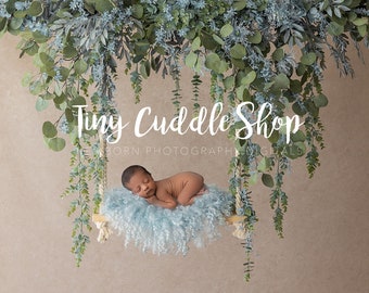 Newborn Digital Swing Background, Newborn Digital Backdrop, Newborn Photography Swing, Blue and Green