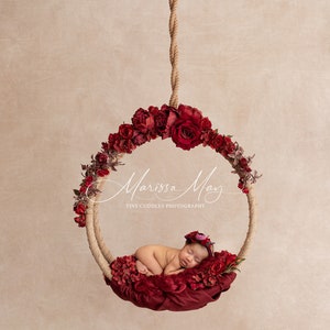 Newborn Digital Swing Background, Newborn Valentines Digital Backdrop, Newborn Photography Swing Red roses