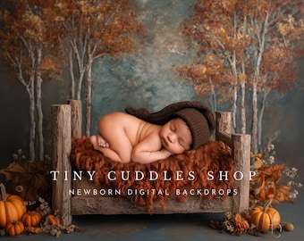 Autumn Fall Bed Newborn Photography Digital Backdrop (AI) - Digital Download
