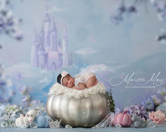 Newborn Digital  Background, Newborn Digital Backdrop, Cinderella, fairytale pumpkin castle