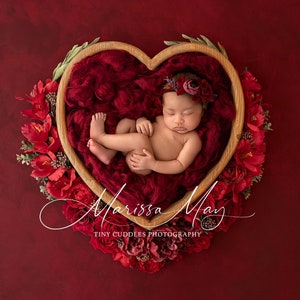 Newborn Digital Background, Newborn Valentines Digital Backdrop, Floral Heart Newborn Digital Valentines red