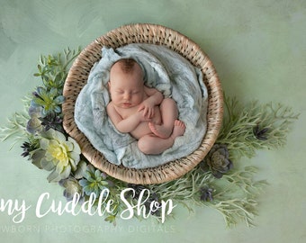 Newborn Digital Background, Newborn Digital Backdrop, Newborn Photography, Rustic Succulent Sage