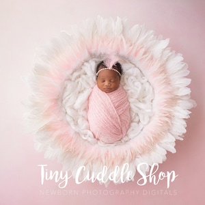 Newborn Digital Background, Newborn Digital Backdrop, Pink, Delicate, Feathers