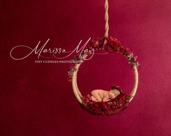 Newborn Digital Swing Background, Newborn Valentines Digital Backdrop, Newborn Photography Swing Red roses