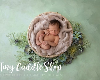 Newborn Digital Background, Newborn Digital Backdrop,  Beige and Sage Rustic Succulents