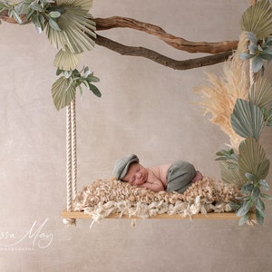 Newborn Digital Swing Background, Newborn Digital Backdrop, Newborn Photography Swing Hanging Boho Bohemian Sage Beige