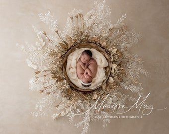 Newborn Digital Background, Newborn Digital Backdrop, Newborn Photography, Royal Golden Nest