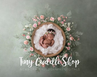 Newborn Digital Background, Newborn Digital Backdrop, Newborn Photography, Delicate Rose Floral Wreath