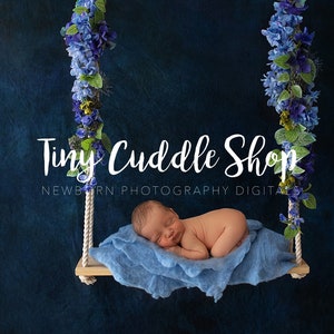 Newborn Digital Swing Background, Newborn Digital Backdrop, Newborn Photography Swing Summer Blues