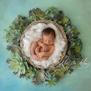 Newborn Digital Background, Newborn Digital Backdrop, Newborn Photography Prop Pastel All White Floral