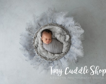 Newborn Digital Background, Newborn Digital Backdrop, Newborn Photography, Feathers, Sliver, White, Basket