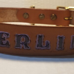DOG COLLAR