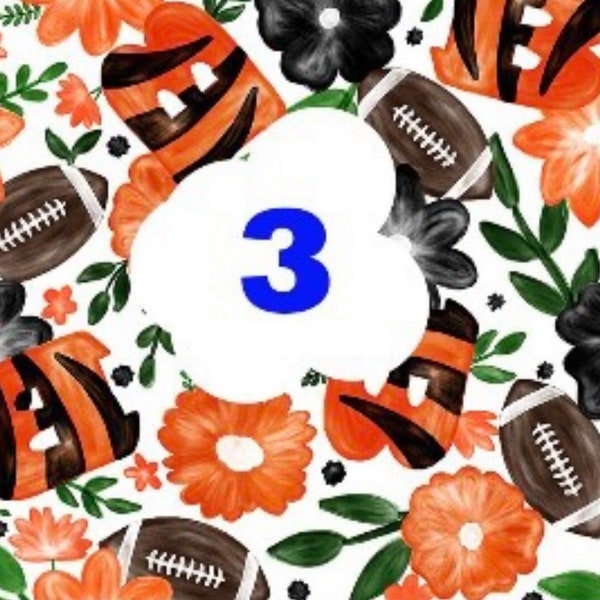 LC Bows in Bengals Floral