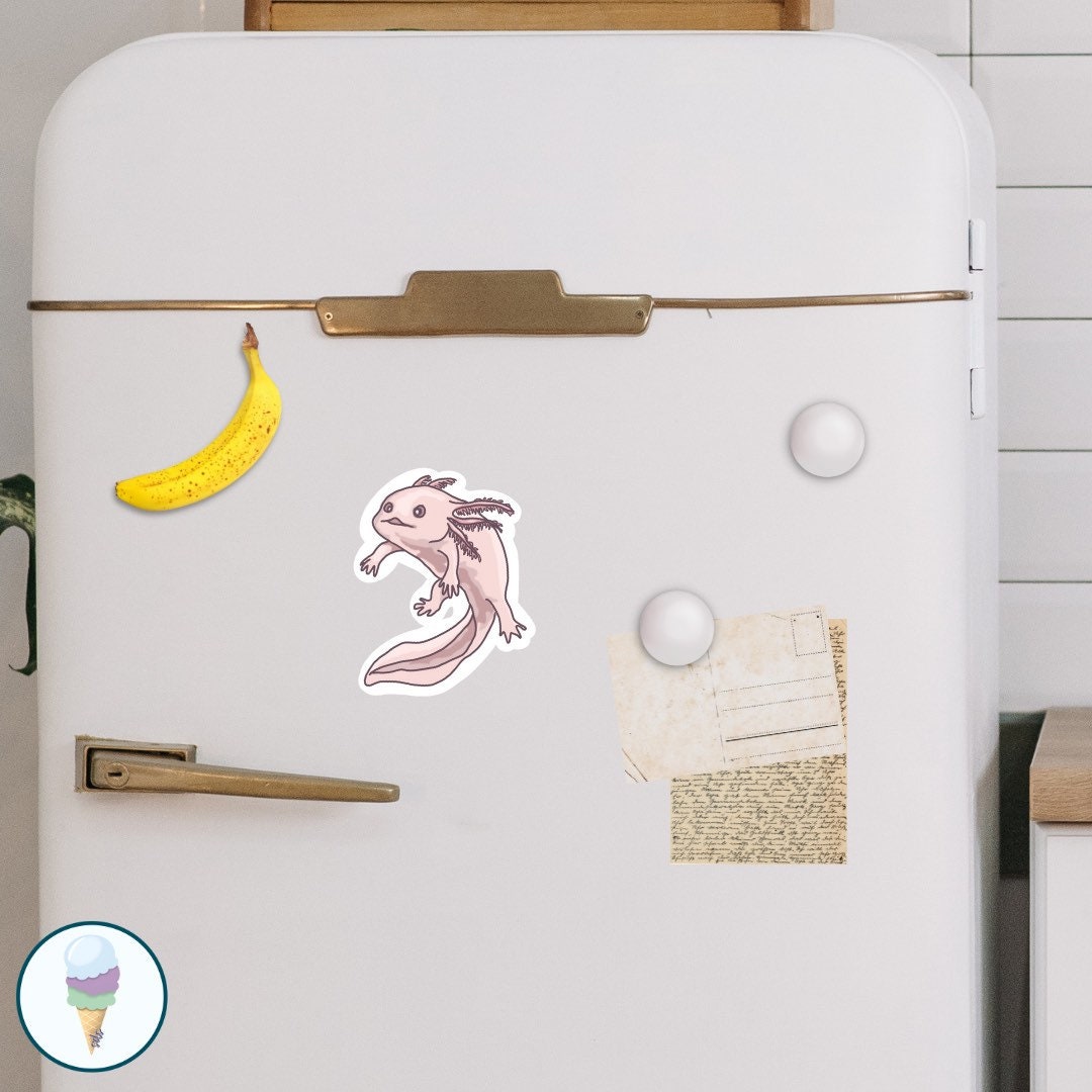 Cute Axolotl for Fridge Funny Reptile Decor Lizard Etsy
