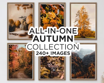 240+ Pieces Autumn Gallery Wall Prints, Fall Wall Art Prints, Rustic Autumn Wall Decor, Halloween Wall Art, Pumpkin Prints, Digital Download