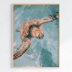 Puede incluir: Una tortuga marina nada en agua turquesa. La tortuga tiene un caparazón marrón con un patrón de marcas marrón claro y negro. La cabeza de la tortuga es visible, con ojos oscuros y un hocico marrón claro.