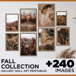 240+ Pieces Fall Wall Art Prints, Thanksgiving Wall Decor, Pumpkin Prints, Halloween Prints, Fall  Wild Flowers Printable, Digital Download