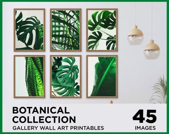 45 Botanical Art Print Set, Flower Wall Art, Monstera Leaf Prints, Eucalyptus Wall Art, House Plant Prints, Green Plants, Digital Download