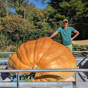 1,583 pound Atlantic Giant Pumpkin Seed from Sir Seed (1 seed)