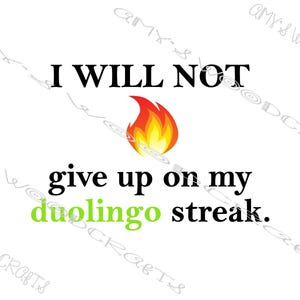 May include: White background with the text "I WILL NOT give up on my duolingo streak." A flame graphic is between "NOT" and "give". The word "duolingo" is in green.