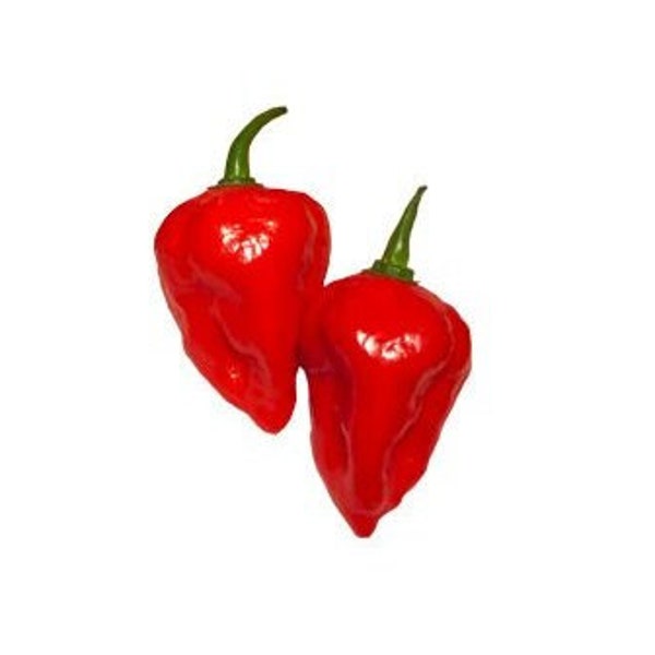 Baby Ghost Pepper Seeds