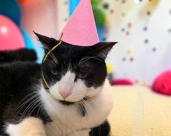 Sombreros de fieltro de cumpleaños para gatos y perros - Divertida ropa de cumpleaños para gatos y perros - Ropa de animales - Divertido sombrero de fieltro para fiestas - Accesorio para fotos