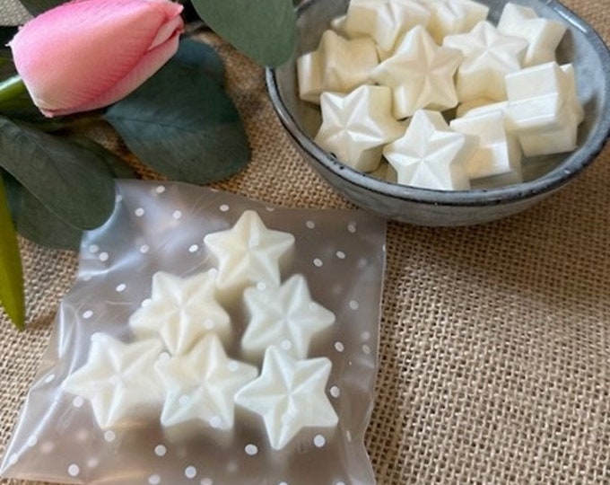 Botanical Star Soy Wax Melts, Eco Friendly Wax Melts, Highly Scented, Plastic Free Melts, Candle Gift, Christmas Gift, Wax Melt Gift