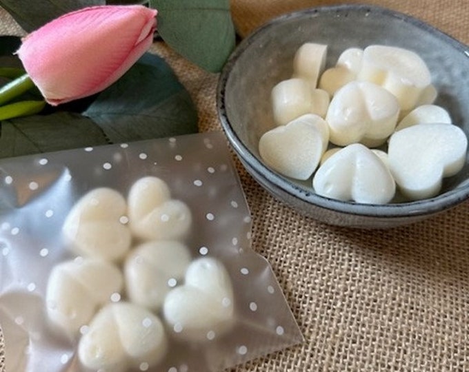 Botanical Soy Wax Melts, Eco Friendly Wax Melts, Highly Scented, Plastic Free Melts, Candle Gift, Christmas Gift, Wax Melt Gift