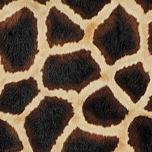 Könnte beinhalten: Nahaufnahme eines Giraffenfellmusters. Das Fell ist eine Mischung aus Braun und Beige mit einem charakteristischen Fleckenmuster.
