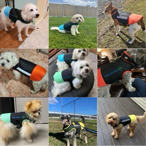 Pu&ograve; includere: Un collage di nove immagini che mostrano cani che indossano gilet di armatura per cani di diversi colori. I gilet sono neri con strisce riflettenti e hanno il testo "dog-armour PRO" stampato su di essi. I cani sono di varie razze e dimensioni e sono mostrati in una variet&agrave; di ambienti, tra cui interni ed esterni.