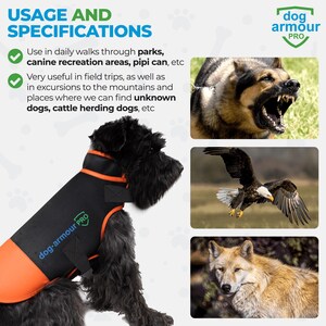 May include: A black dog wearing a black and orange dog armor vest with the text "dog-armour PRO" on it. The dog is standing on a white background. The image also shows a German Shepherd, a bald eagle, and a wolf.
