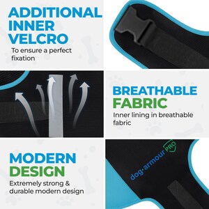 Pu&ograve; includere: Un'imbracatura per cani nera con rifiniture blu e una fodera in tessuto traspirante. L'imbracatura ha una chiusura in velcro e un design moderno. Il testo "dog-armour PRO" &egrave; stampato sull'imbracatura.